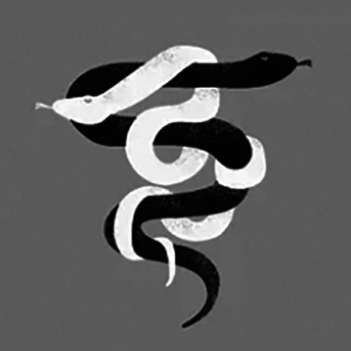 anima_animus